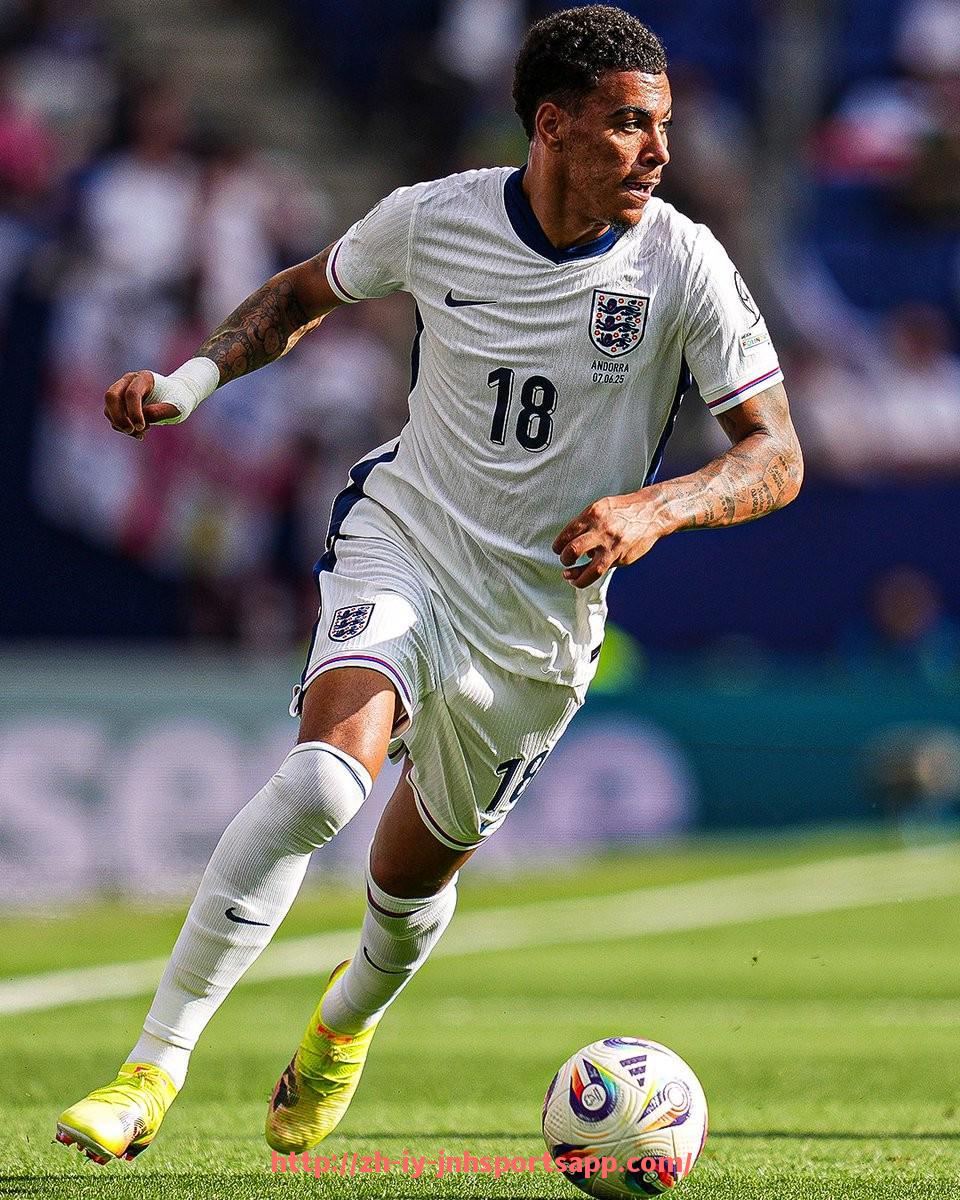 金年会app-世俱杯期间主办城市高温天气应对计划与公共健康管理